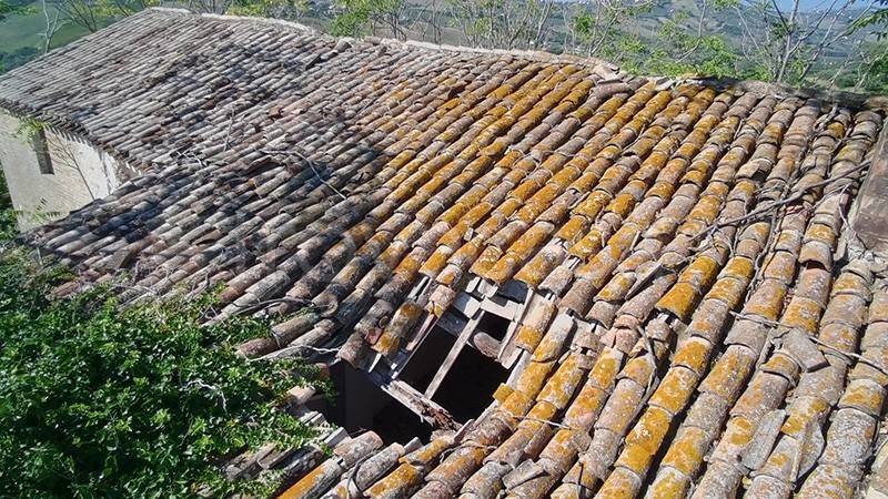 immagine annuncio 12 di 14