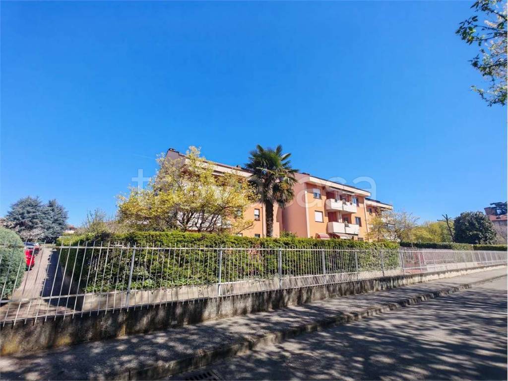 immagine annuncio 9 di 15