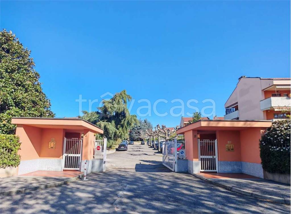 immagine annuncio 11 di 15