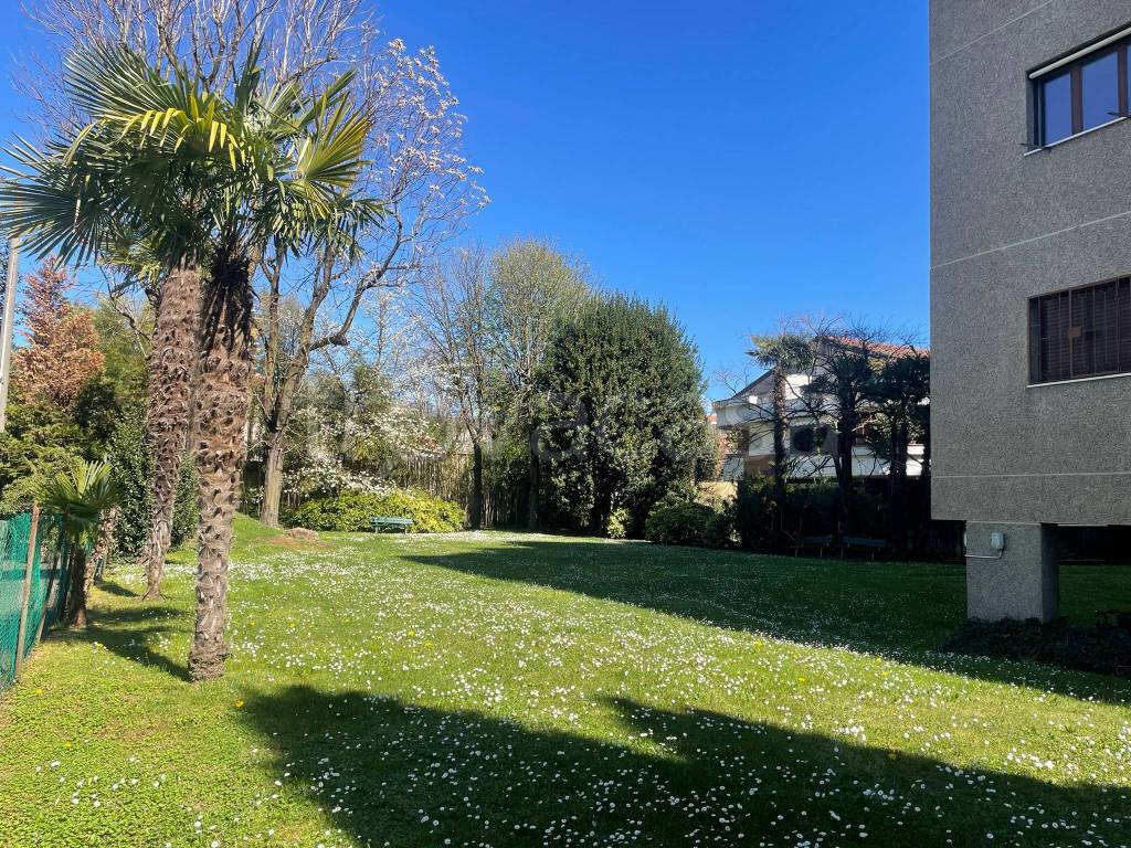 immagine annuncio 10 di 11