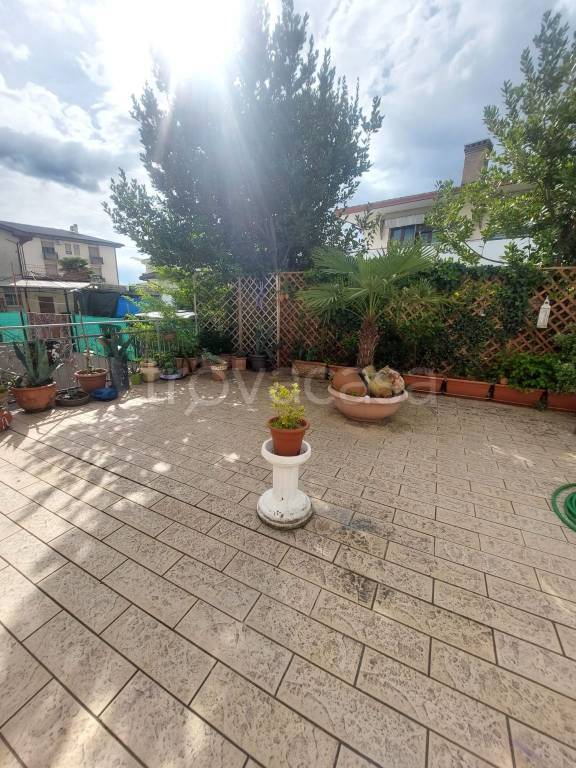 immagine annuncio 5 di 7