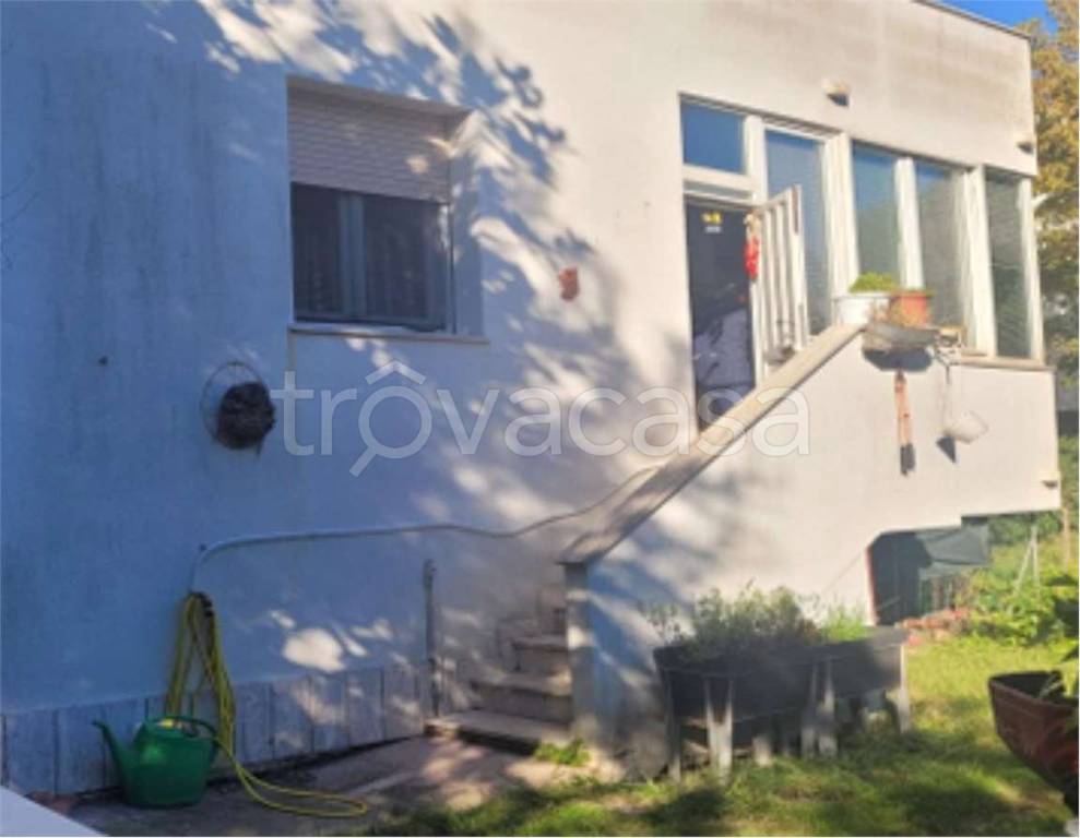 immagine annuncio 4 di 11