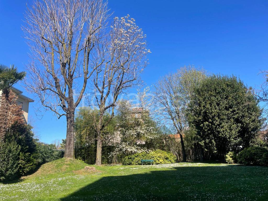 immagine annuncio 11 di 14