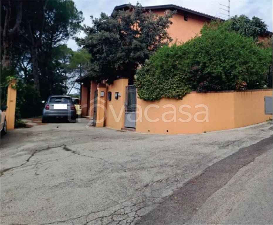 immagine annuncio 5 di 13