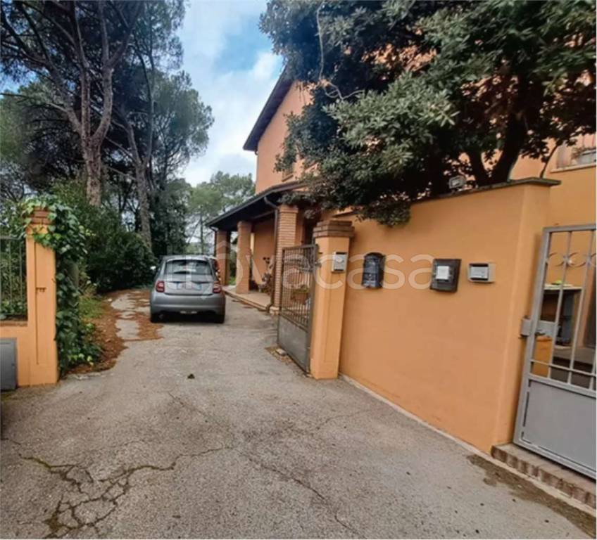 immagine annuncio 6 di 13