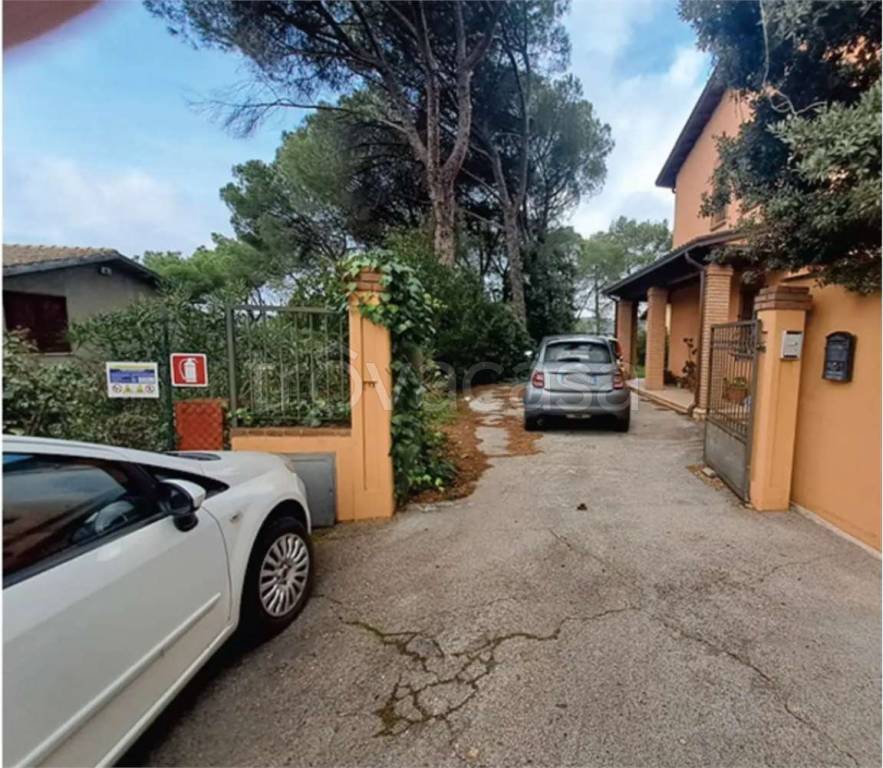 immagine annuncio 7 di 13