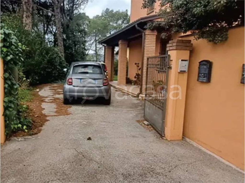 immagine annuncio 12 di 13