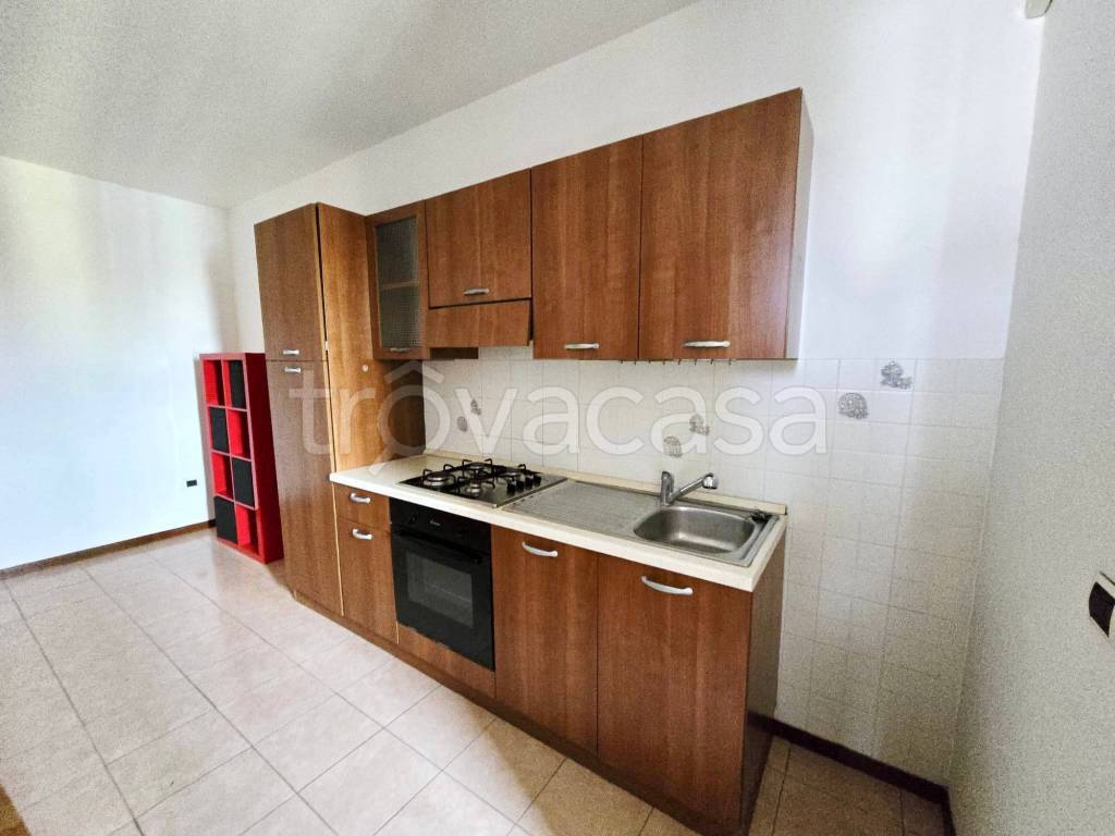 immagine annuncio 4 di 11