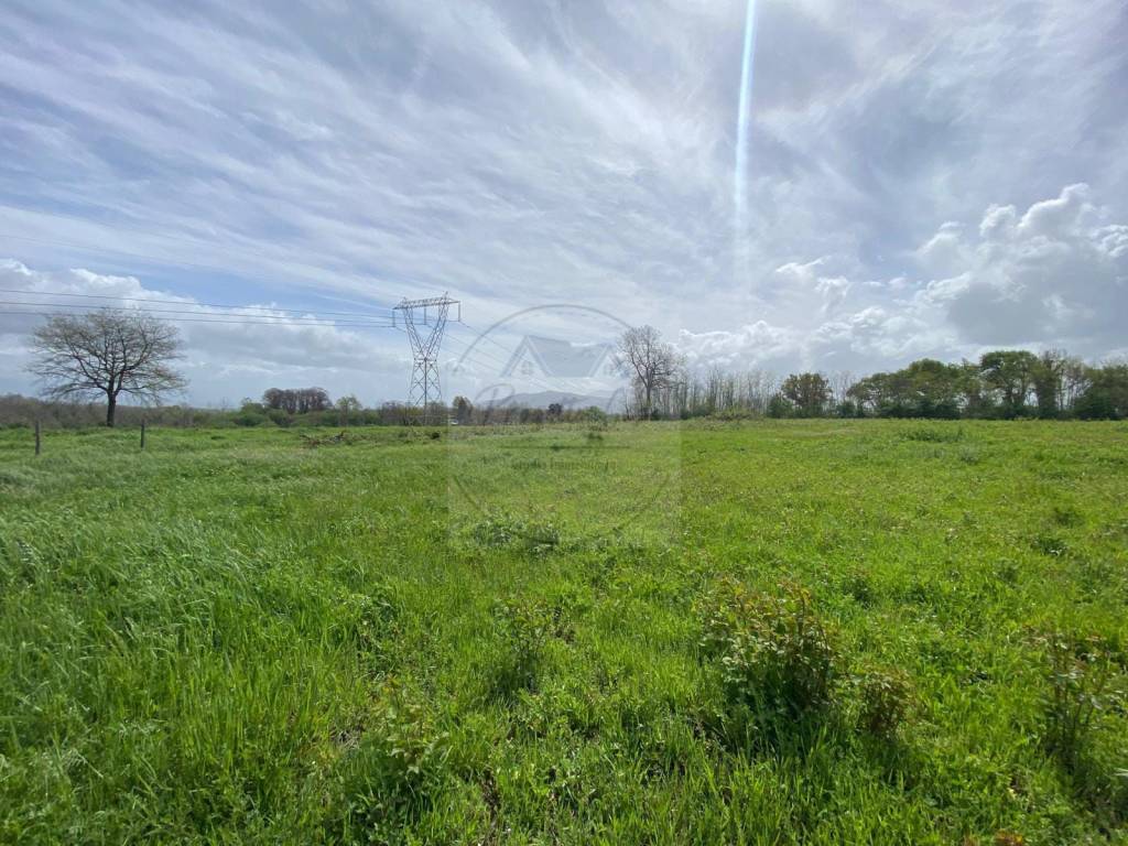 immagine annuncio 6 di 8