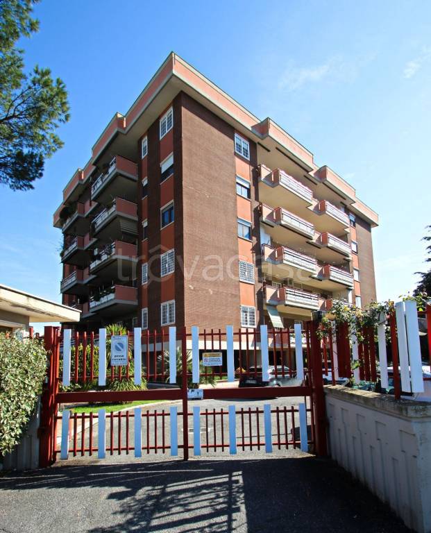 immagine annuncio 2 di 14