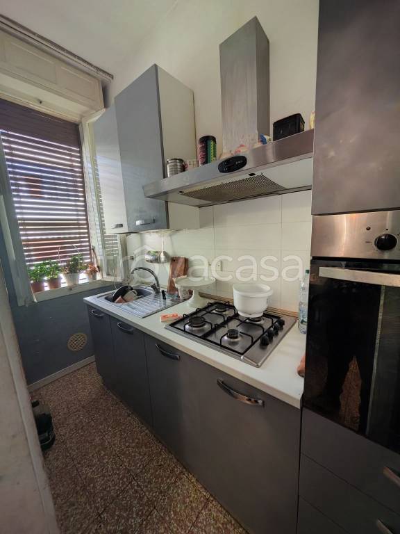 immagine annuncio 2 di 12