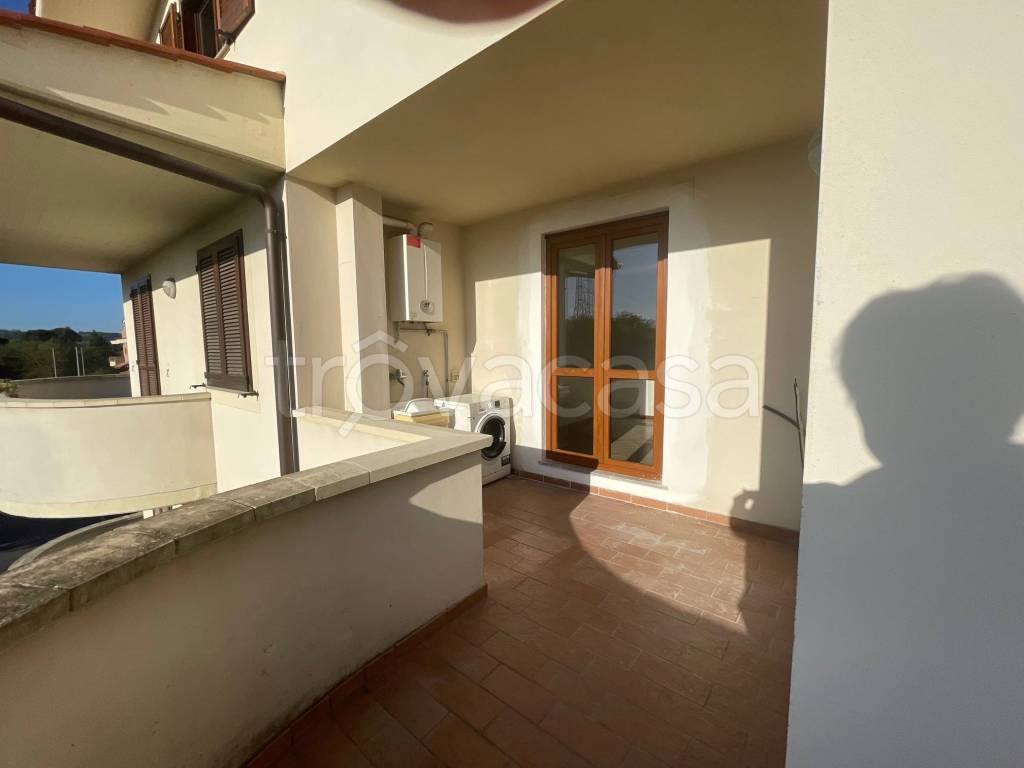 immagine annuncio 4 di 14