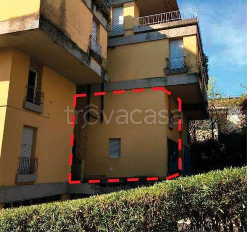 immagine annuncio 5 di 11