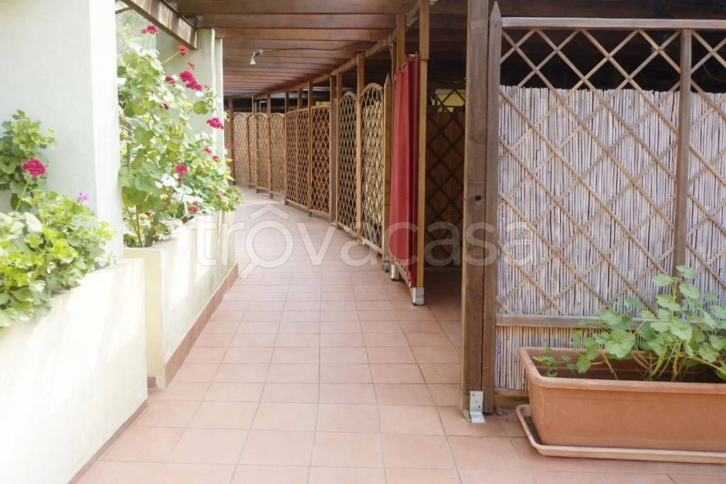 immagine annuncio 12 di 14