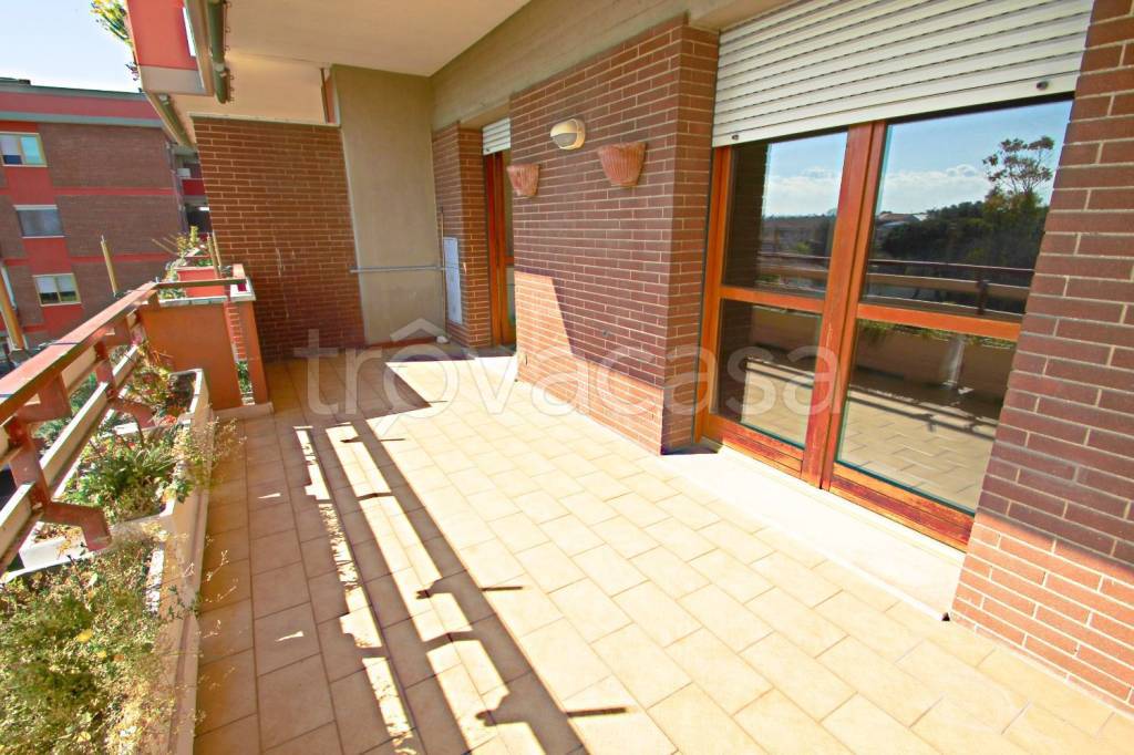 immagine annuncio 12 di 14