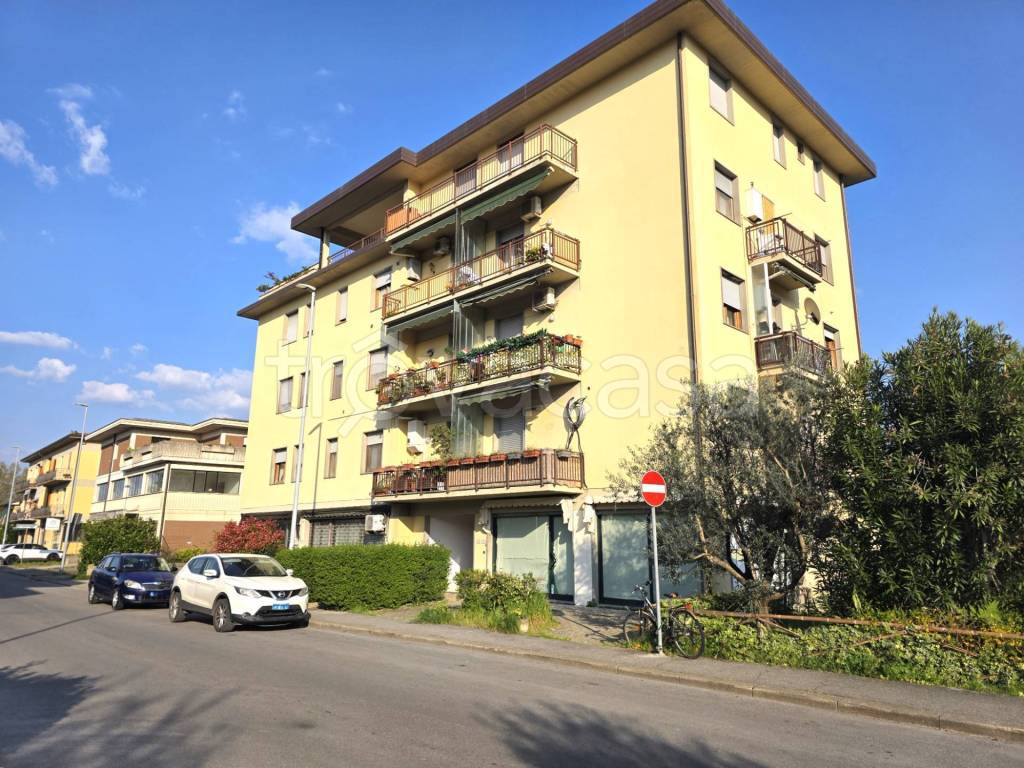 immagine annuncio 3 di 15