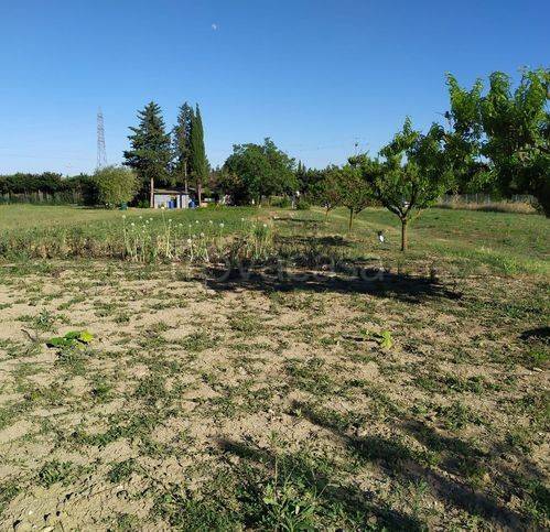 immagine annuncio 1 di 2