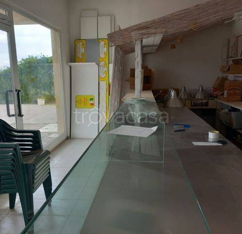 immagine annuncio 6 di 12