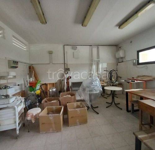 immagine annuncio 9 di 12