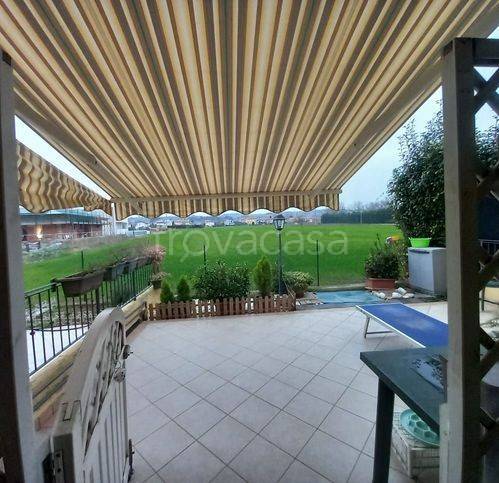 immagine annuncio 5 di 15