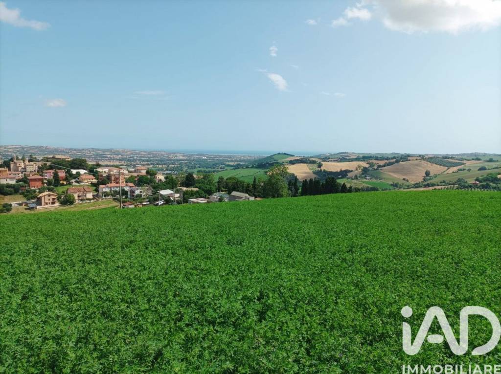 immagine annuncio 9 di 10