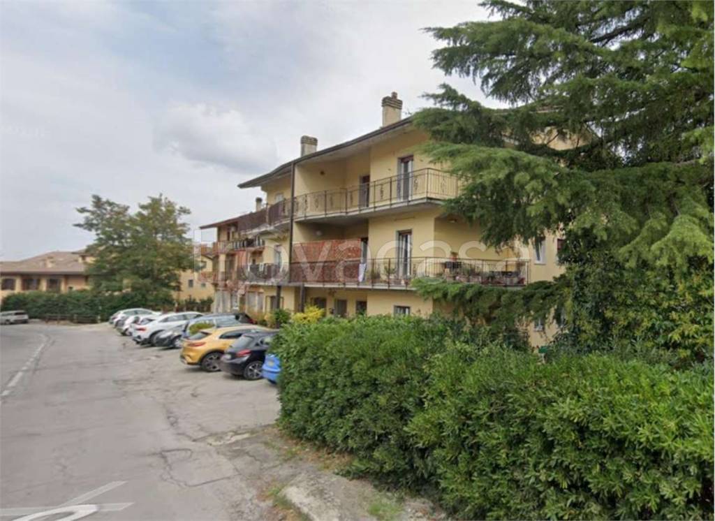 immagine annuncio 12 di 14