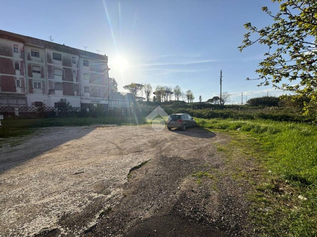 immagine annuncio 2 di 8