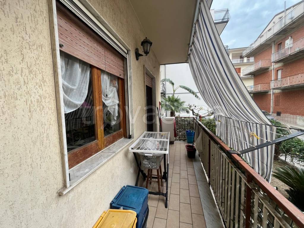 immagine annuncio 7 di 14