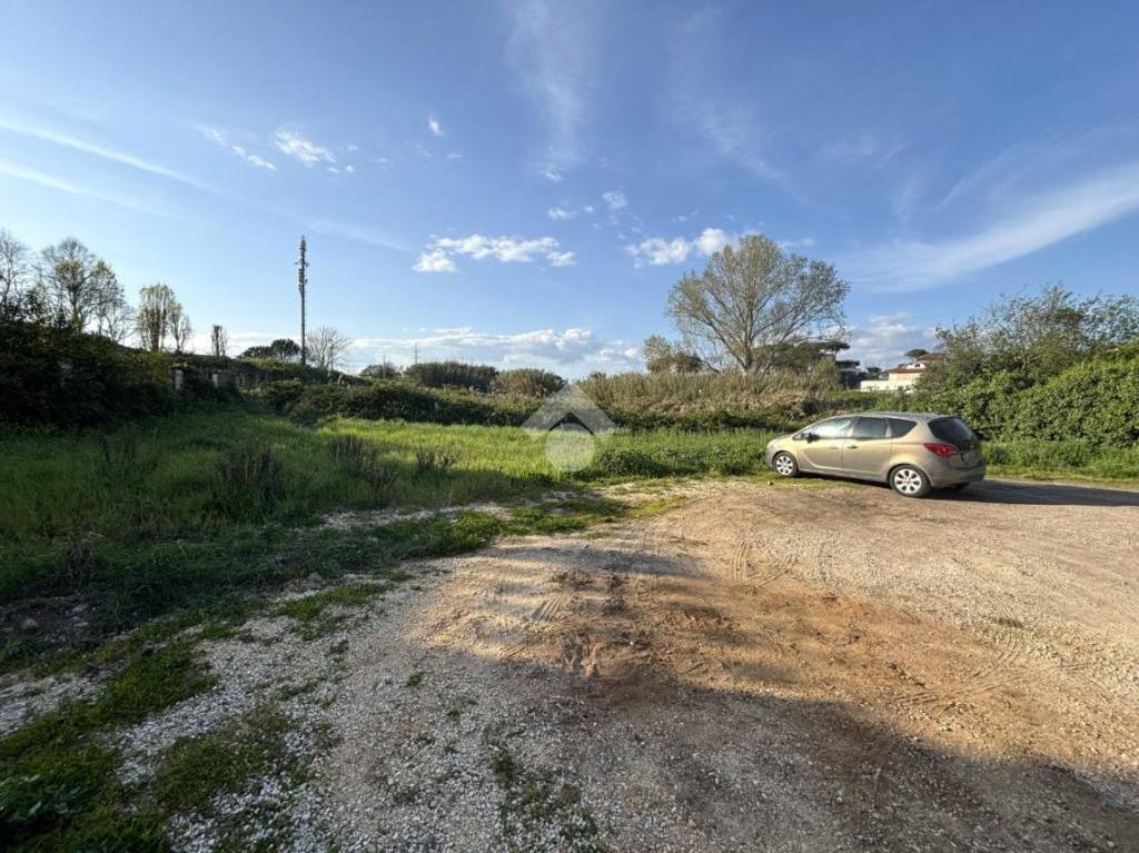 immagine annuncio 3 di 8