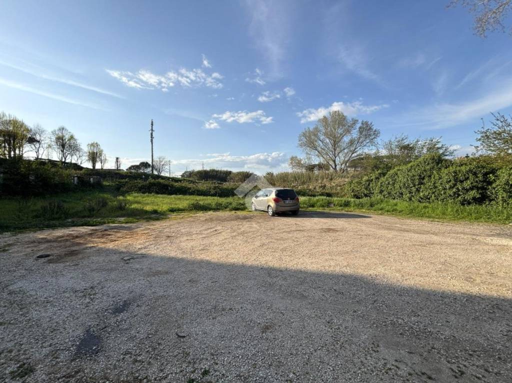 immagine annuncio 4 di 8