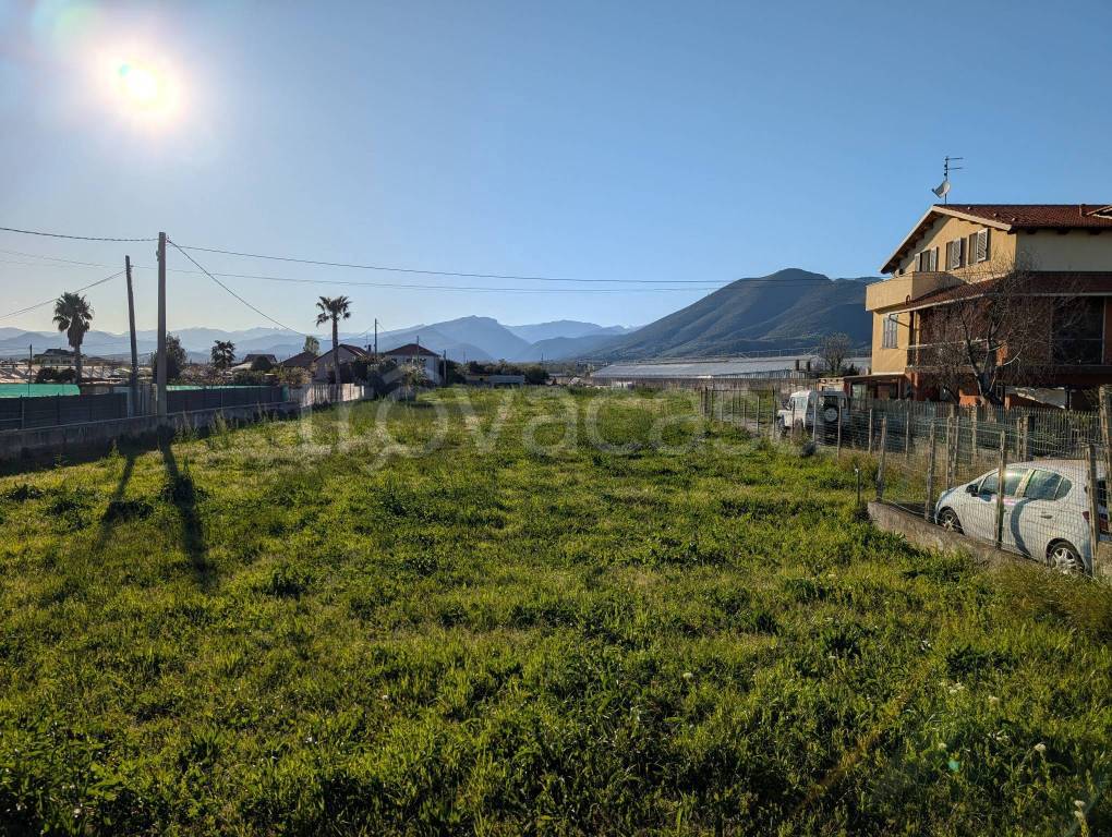 immagine annuncio 2 di 4