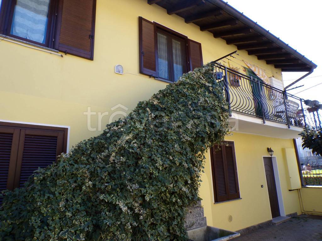 immagine annuncio 1 di 14