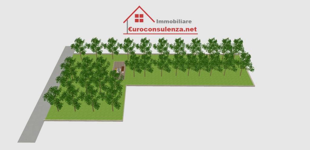 immagine annuncio 14 di 15