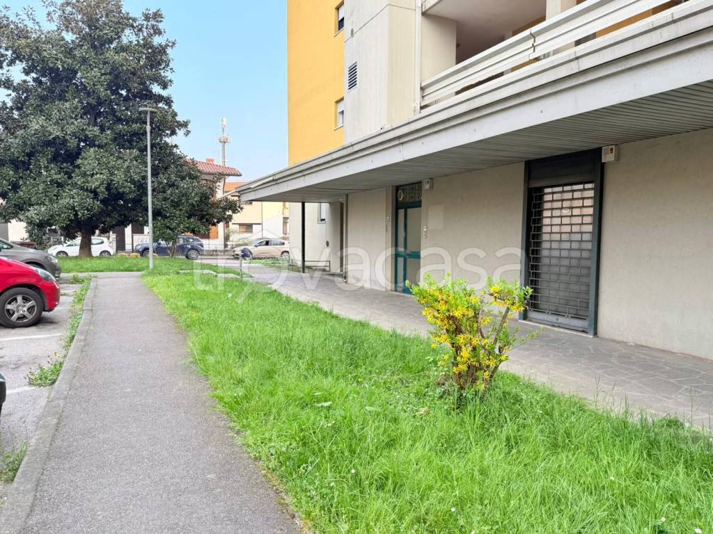 immagine annuncio 9 di 11