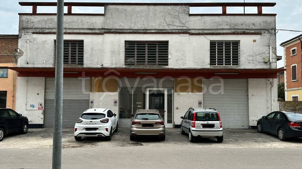 immagine annuncio 3 di 6