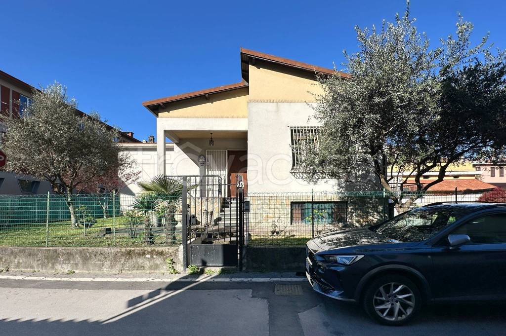 immagine annuncio 3 di 15