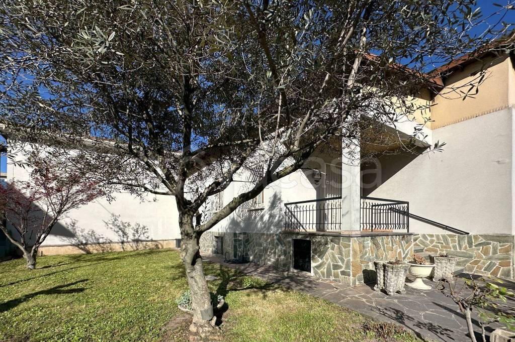 immagine annuncio 6 di 15