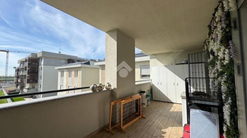 immagine annuncio 7 di 15