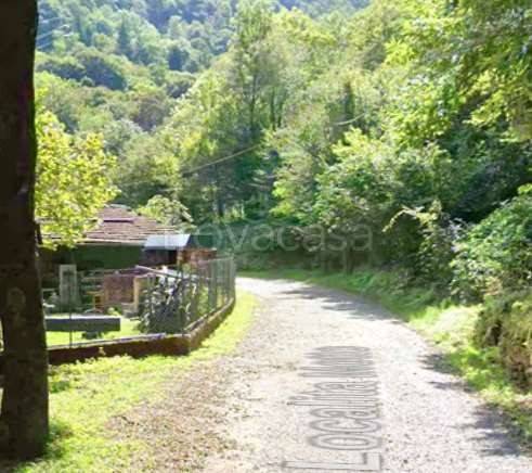 immagine annuncio 6 di 8