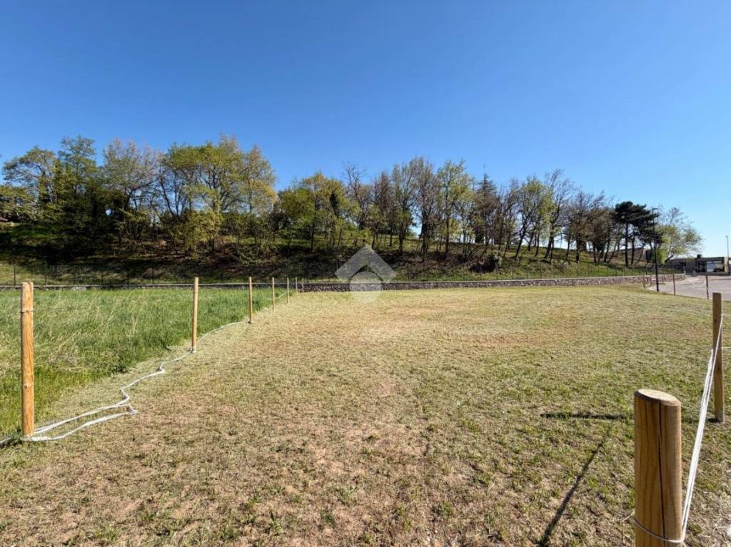 immagine annuncio 2 di 6