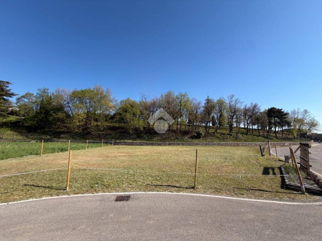 immagine annuncio 4 di 6