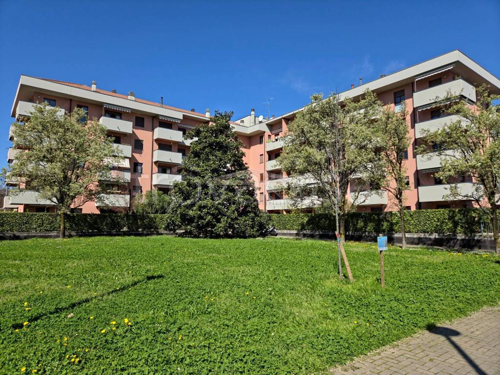 immagine annuncio 1 di 15