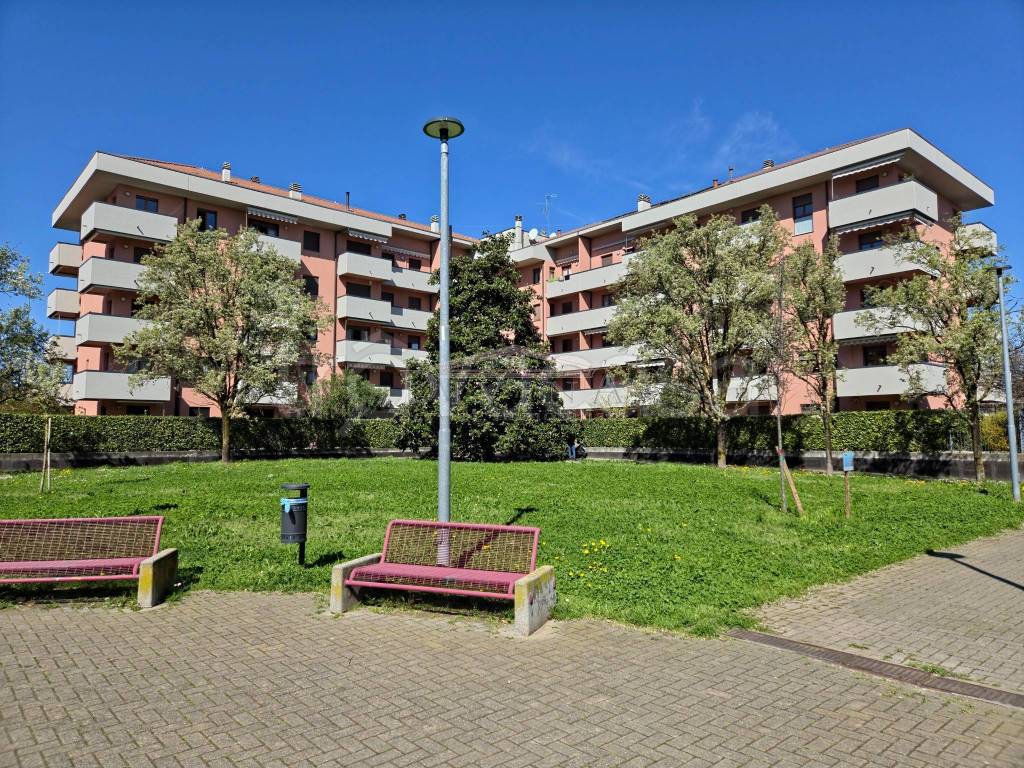 immagine annuncio 2 di 15