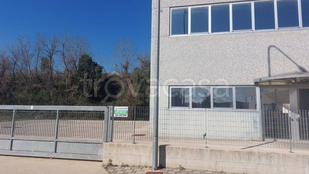 immagine annuncio 7 di 15