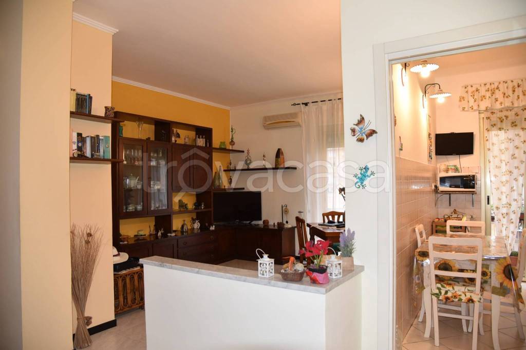 immagine annuncio 1 di 7