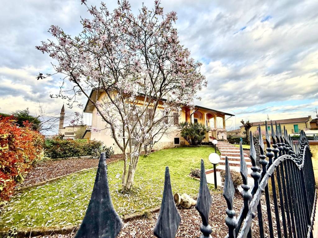 immagine annuncio 4 di 15