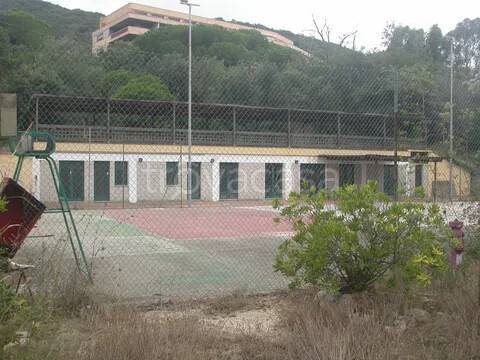 immagine annuncio 3 di 13