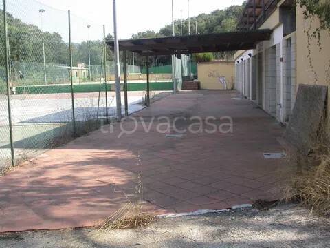 immagine annuncio 12 di 13