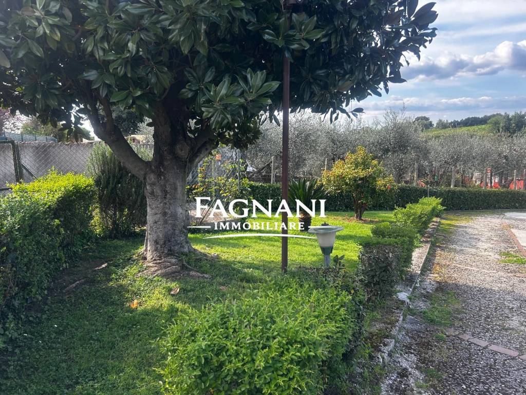 immagine annuncio 8 di 9