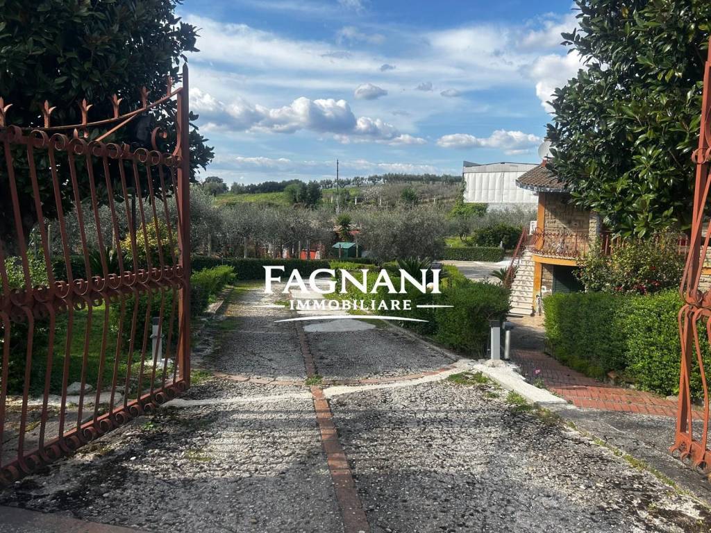 immagine annuncio 7 di 9